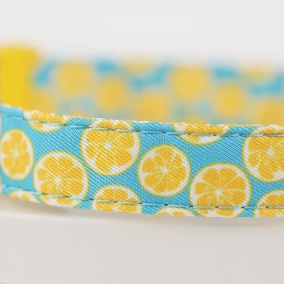 Cute “Lemons” Dog Collar. Large - Picture 5 of 6